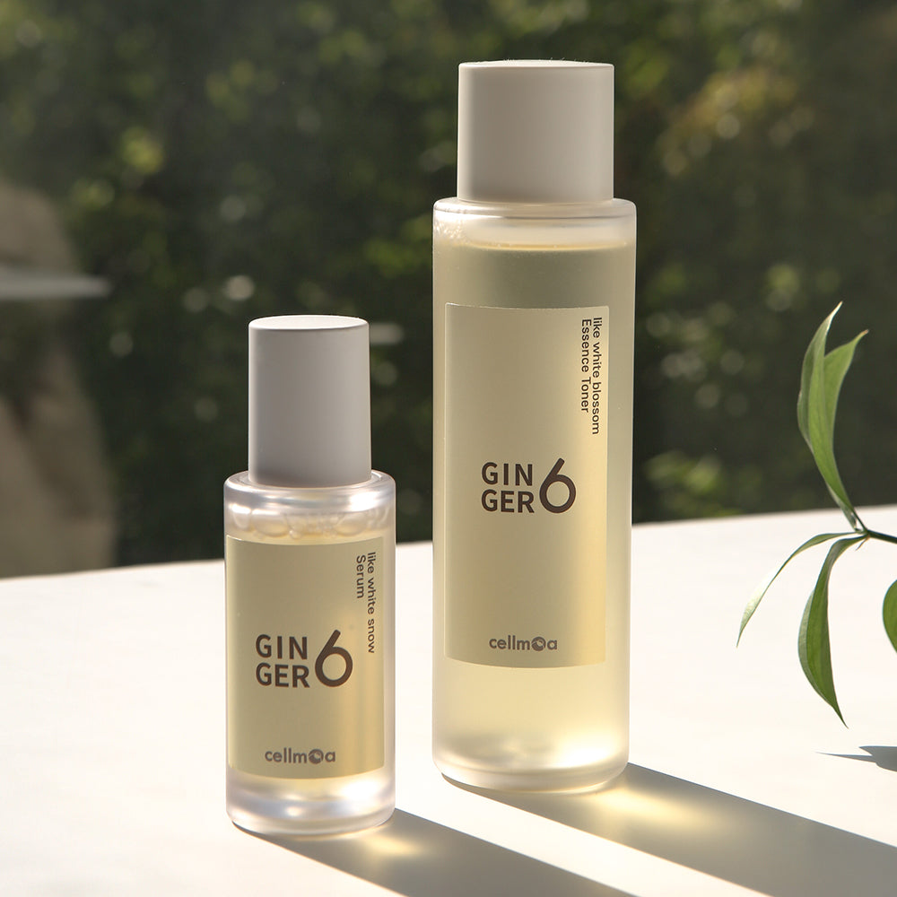 Set Experto Ginger6: Sistema de Regeneración Total (4 Pasos) – Emerald Beauty